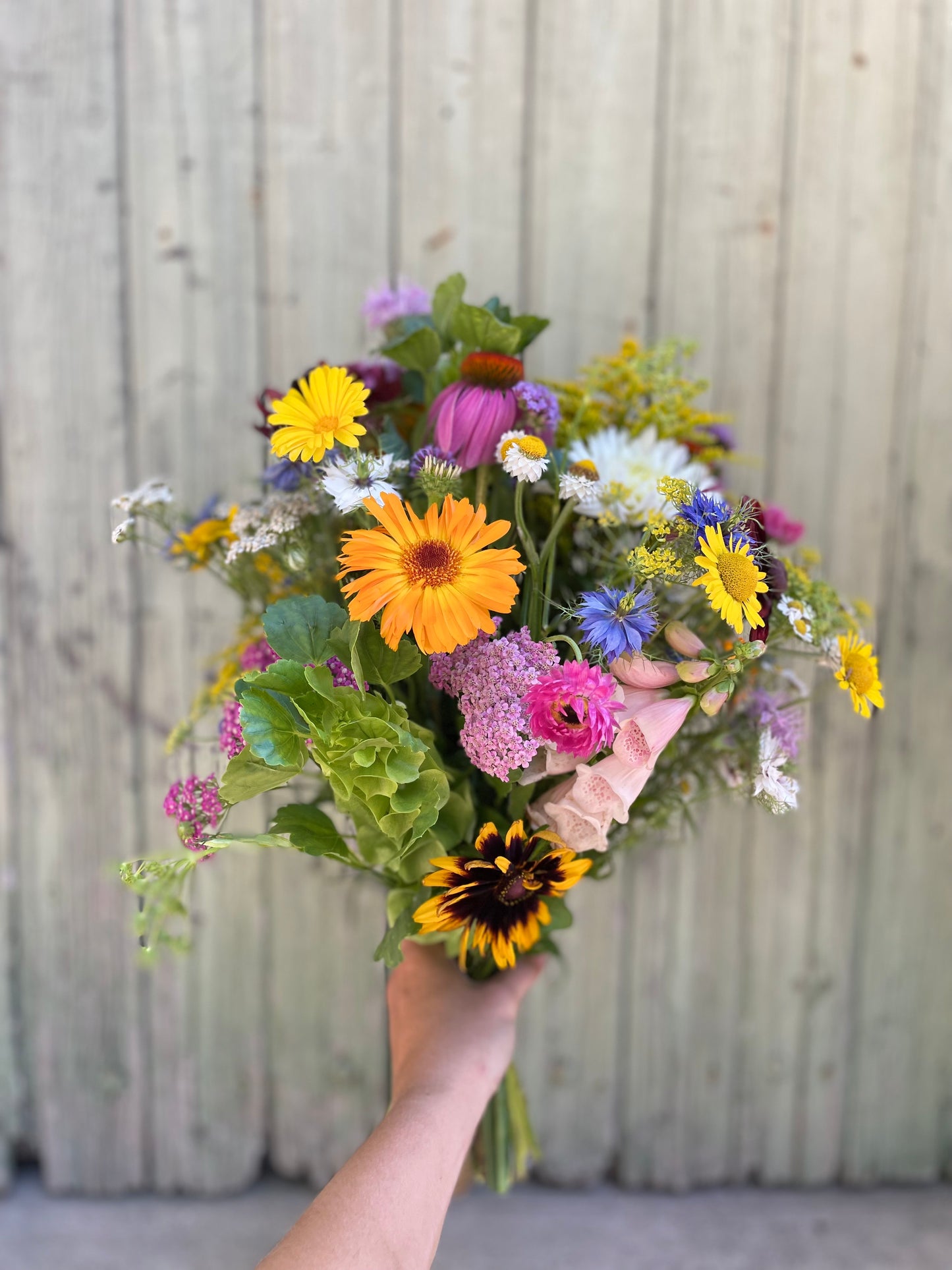 Abonnement floral ornemental