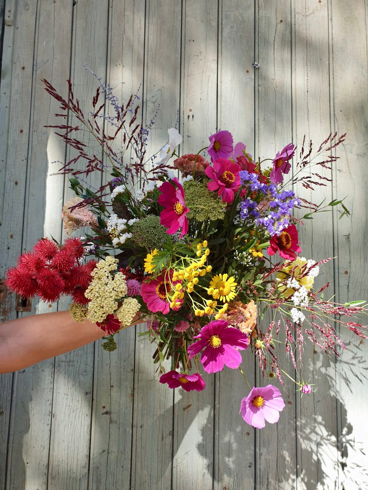 Abonnement floral ornemental