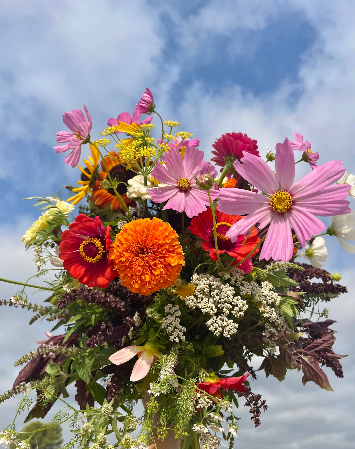 Abonnement floral comestible
